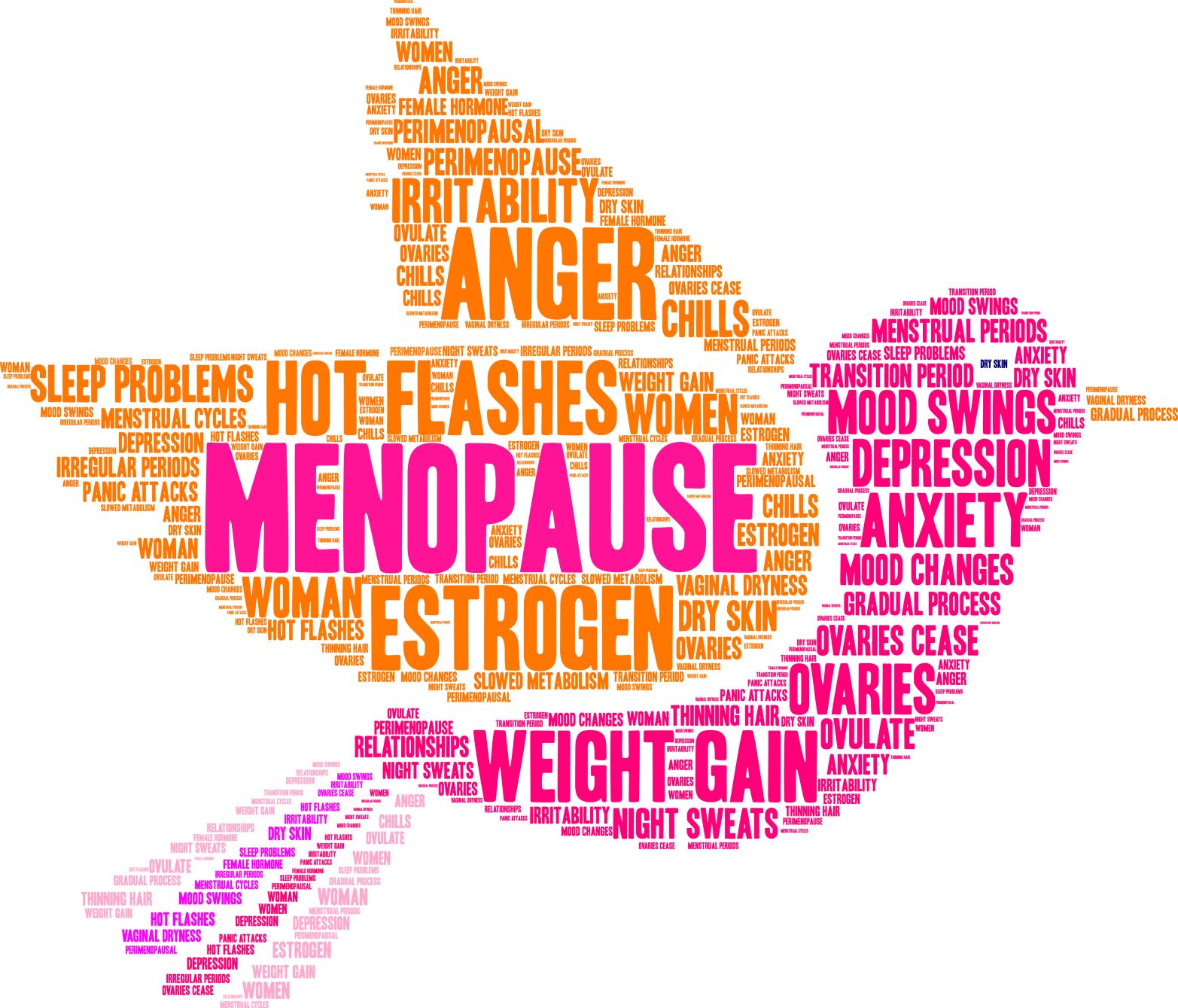menopause awareness workshop